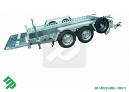 Facilità trasporto veicoli o cose